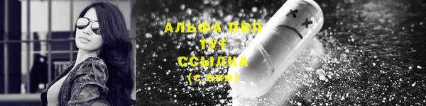 СК Тавда