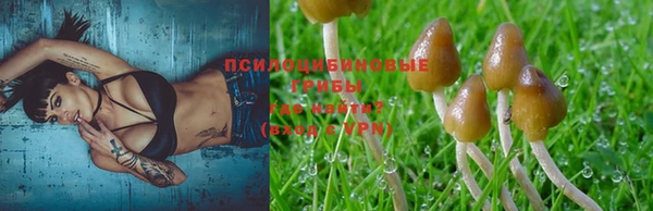 ECSTASY Балахна